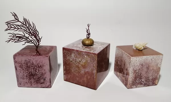 douceurs rosées