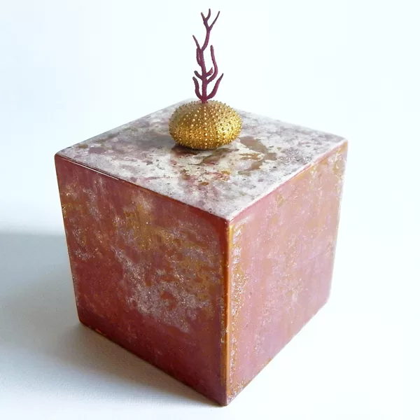 la porte des songes [oursin . corail] . 10x10x10